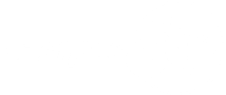 Panther Family Portal Logo